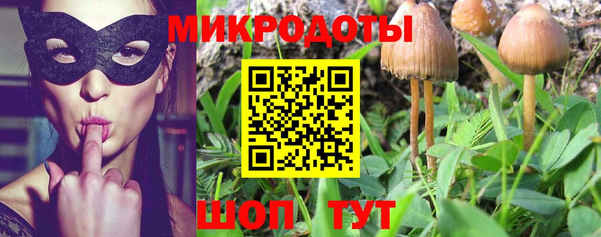 Галлюциногенные грибы мицелий  Вход с VPN  Сургут  Псилоцибиновые грибы MAGIC MUSHROOMS 