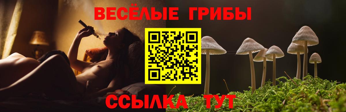 Галлюциногенные грибы мицелий Сургут